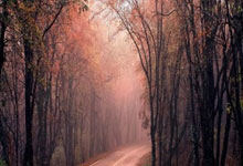 [NBA]詹姆斯突破42000分 湖人客场胜灰熊.