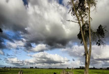 [英超]萨拉赫创纪录 利物浦主场胜热刺.