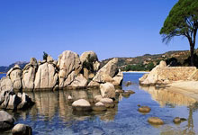 四川山体滑坡失联人数更新，救援工作紧张进行.